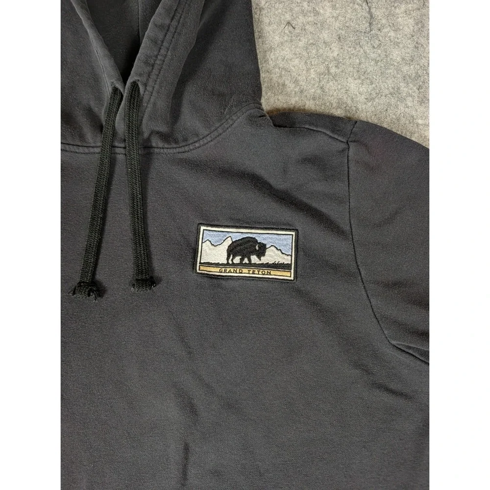 The North Face Mens Grand Teton Bison Hoodie Black Sleeve Logo Pullover NF0A4M4M